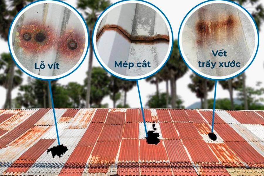Mái tôn sau một thời gian sử dụng sẽ có hiện tượng bị oxi hóa, rỉ sét cad có các vết lỗ vít, mép cắt, trầy xước gây hư hỏng